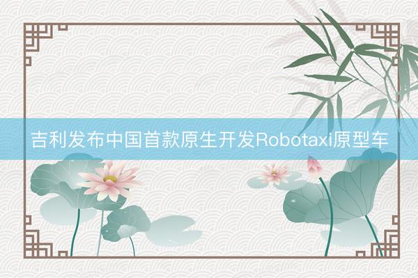 吉利发布中国首款原生开发Robotaxi原型车