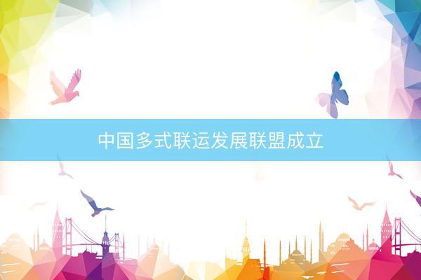 中国多式联运发展联盟成立