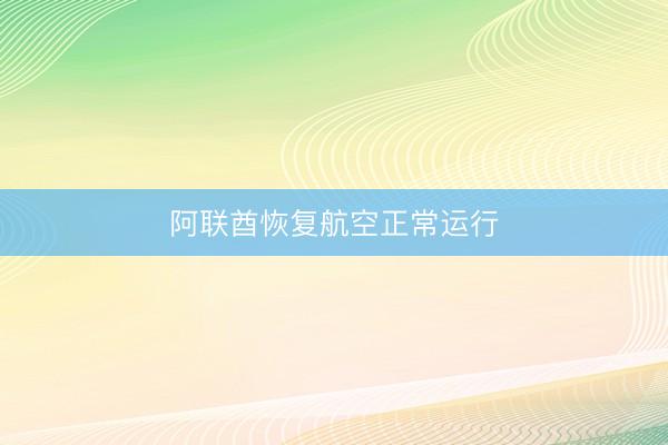 阿联酋恢复航空正常运行