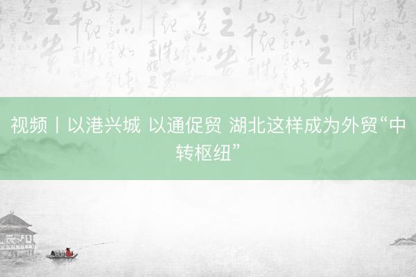视频丨以港兴城 以通促贸 湖北这样成为外贸“中转枢纽”