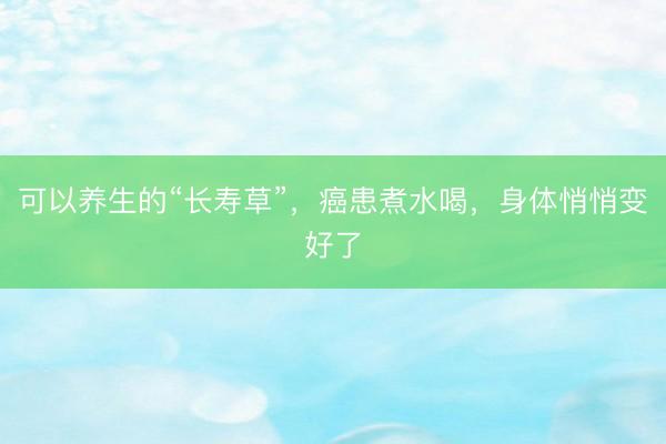 可以养生的“长寿草”，癌患煮水喝，身体悄悄变好了