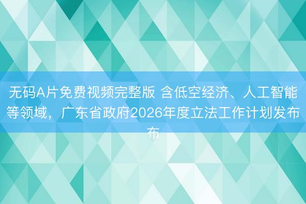 无码A片免费视频完整版 含低空经济、人工智能等领域,广东省政府2026年度立法工作计划发布
