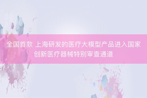 全国首款 上海研发的医疗大模型产品进入国家创新医疗器械特别审查通道