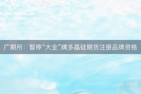 广期所：暂停“大全”牌多晶硅期货注册品牌资格
