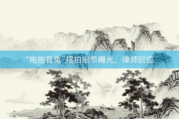 “抱抱盲兔”摆拍细节曝光，律师回应