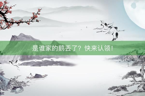 是谁家的鹅丢了？快来认领！