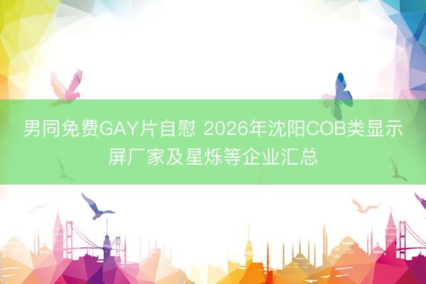 男同免费GAY片自慰 2026年沈阳COB类显示屏厂家及星烁等企业汇总