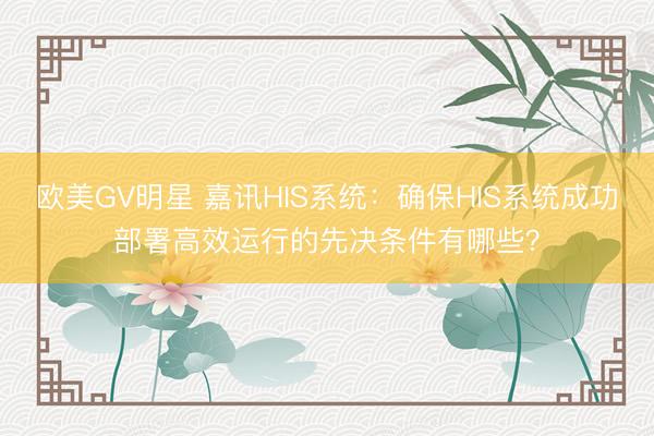 欧美GV明星 嘉讯HIS系统：确保HIS系统成功部署高效运行的先决条件有哪些？