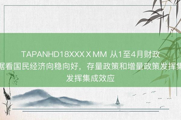 TAPANHD18XXXⅩMM 从1至4月财政收支数据看国民经济向稳向好，存量政策和增量政策发挥集成效应