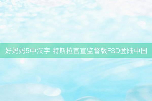 好妈妈5中汉字 特斯拉官宣监督版FSD登陆中国