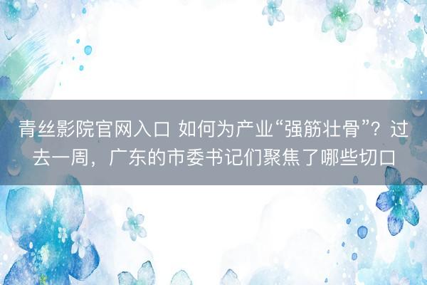 青丝影院官网入口 如何为产业“强筋壮骨”？过去一周，广东的市委书记们聚焦了哪些切口