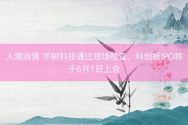 人潮汹涌 宇树科技通过现场检查，科创板IPO将于6月1日上会