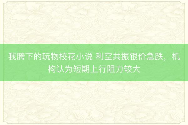我胯下的玩物校花小说 利空共振银价急跌，机构认为短期上行阻力较大