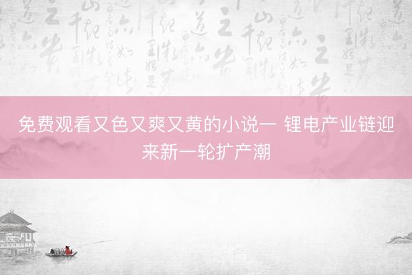 免费观看又色又爽又黄的小说一 锂电产业链迎来新一轮扩产潮