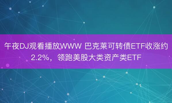 午夜DJ观看播放WWW 巴克莱可转债ETF收涨约2.2%,领跑美股大类资产类ETF