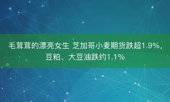 毛茸茸的漂亮女生 芝加哥小麦期货跌超1.9%，豆粕、大豆油跌约1.1%