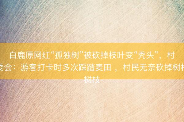 白鹿原网红“孤独树”被砍掉枝叶变“秃头”，村委会：游客打卡时多次踩踏麦田 ，村民无奈砍掉树枝
