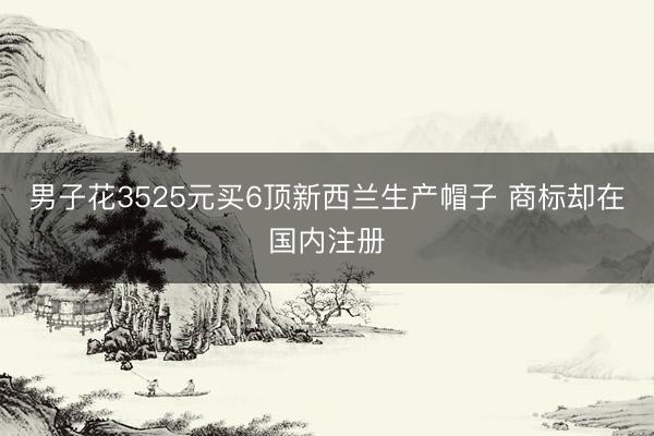 男子花3525元买6顶新西兰生产帽子 商标却在国内注册
