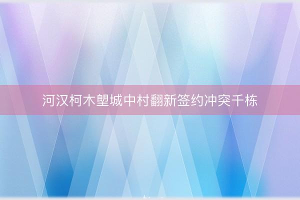 河汉柯木塱城中村翻新签约冲突千栋
