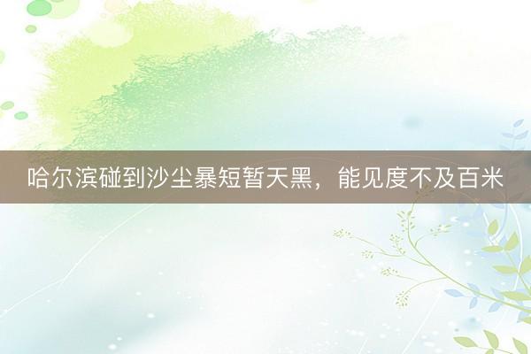 哈尔滨碰到沙尘暴短暂天黑，能见度不及百米