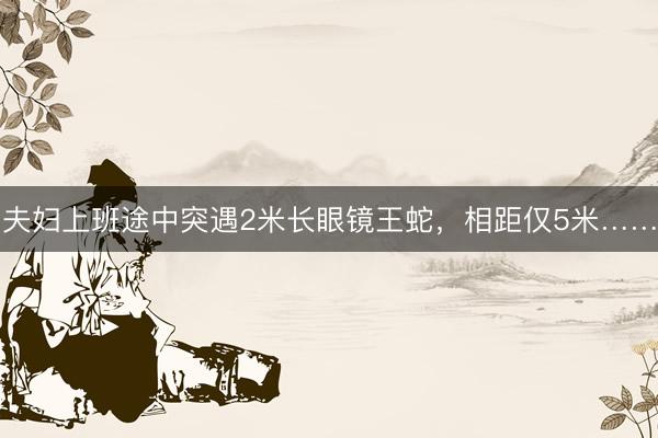 夫妇上班途中突遇2米长眼镜王蛇，相距仅5米……