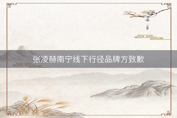 张凌赫南宁线下行径品牌方致歉