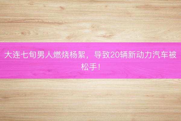 大连七旬男人燃烧杨絮，导致20辆新动力汽车被松手！