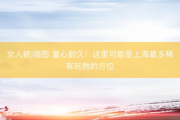 女人被j插图 童心耐久！这里可能是上海最多稀有玩物的方位
