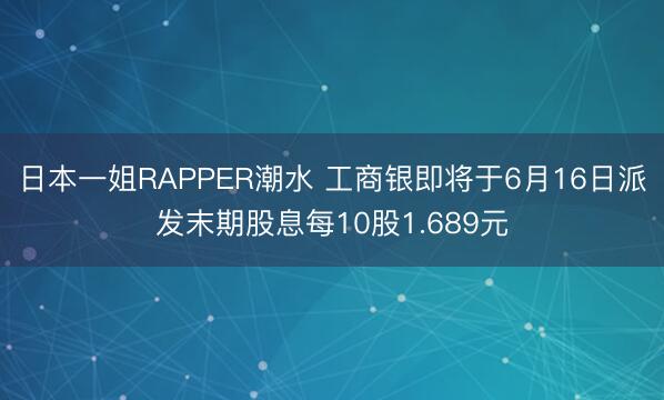 日本一姐RAPPER潮水 工商银即将于6月16日派发末期股息每10股1.689元