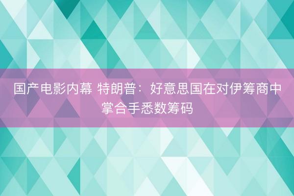 国产电影内幕 特朗普：好意思国在对伊筹商中掌合手悉数筹码
