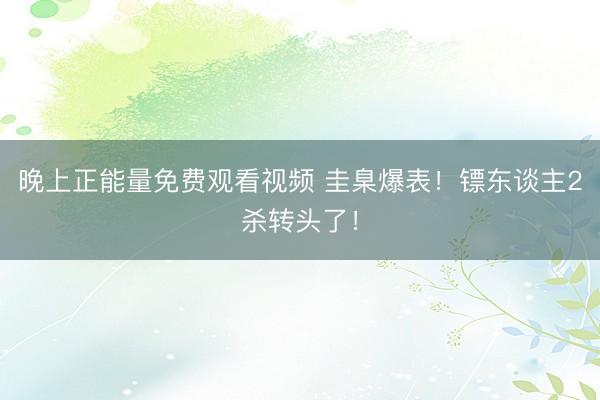 晚上正能量免费观看视频 圭臬爆表！镖东谈主2杀转头了！