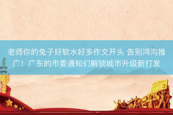 老师你的兔子好软水好多作文开头 告别鸿沟推广！广东的市委通知们解锁城市升级新打发