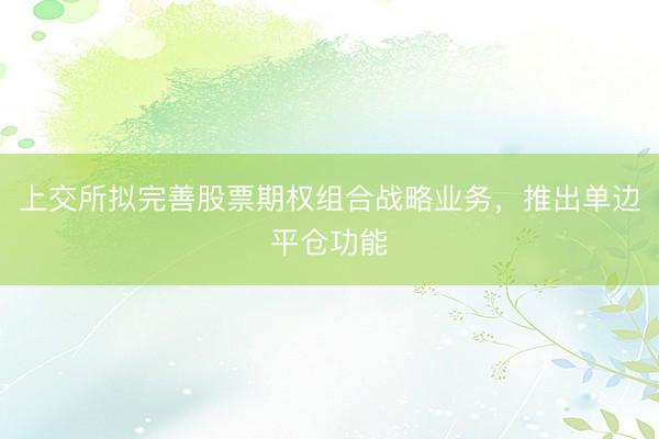 上交所拟完善股票期权组合战略业务，推出单边平仓功能