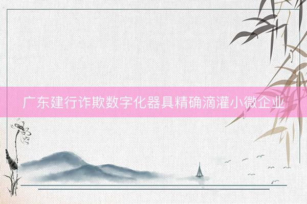广东建行诈欺数字化器具精确滴灌小微企业